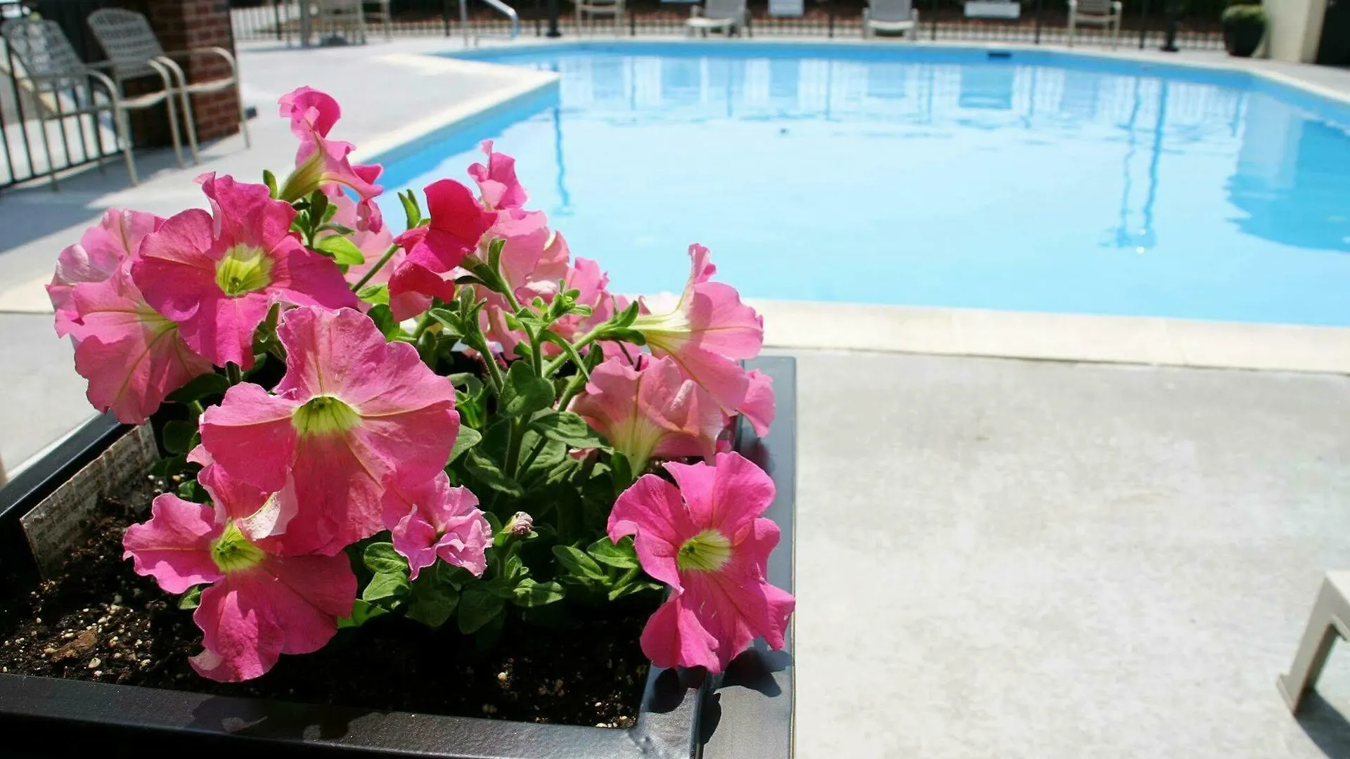Best Western Center Inn Virginia Beach United States